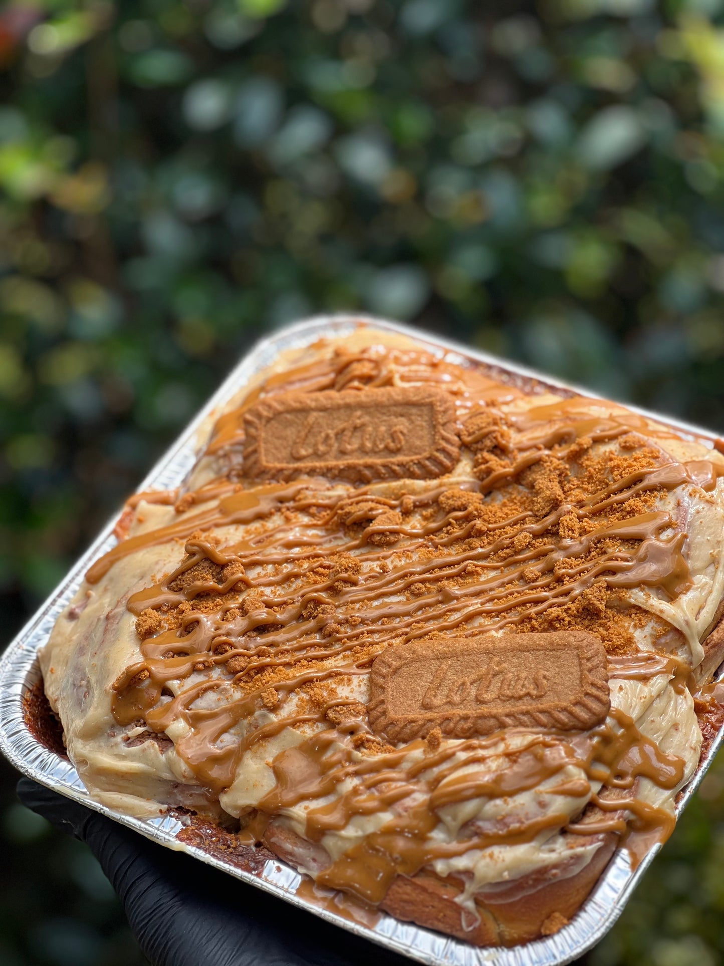 Biscoff Cinnamon Rolls