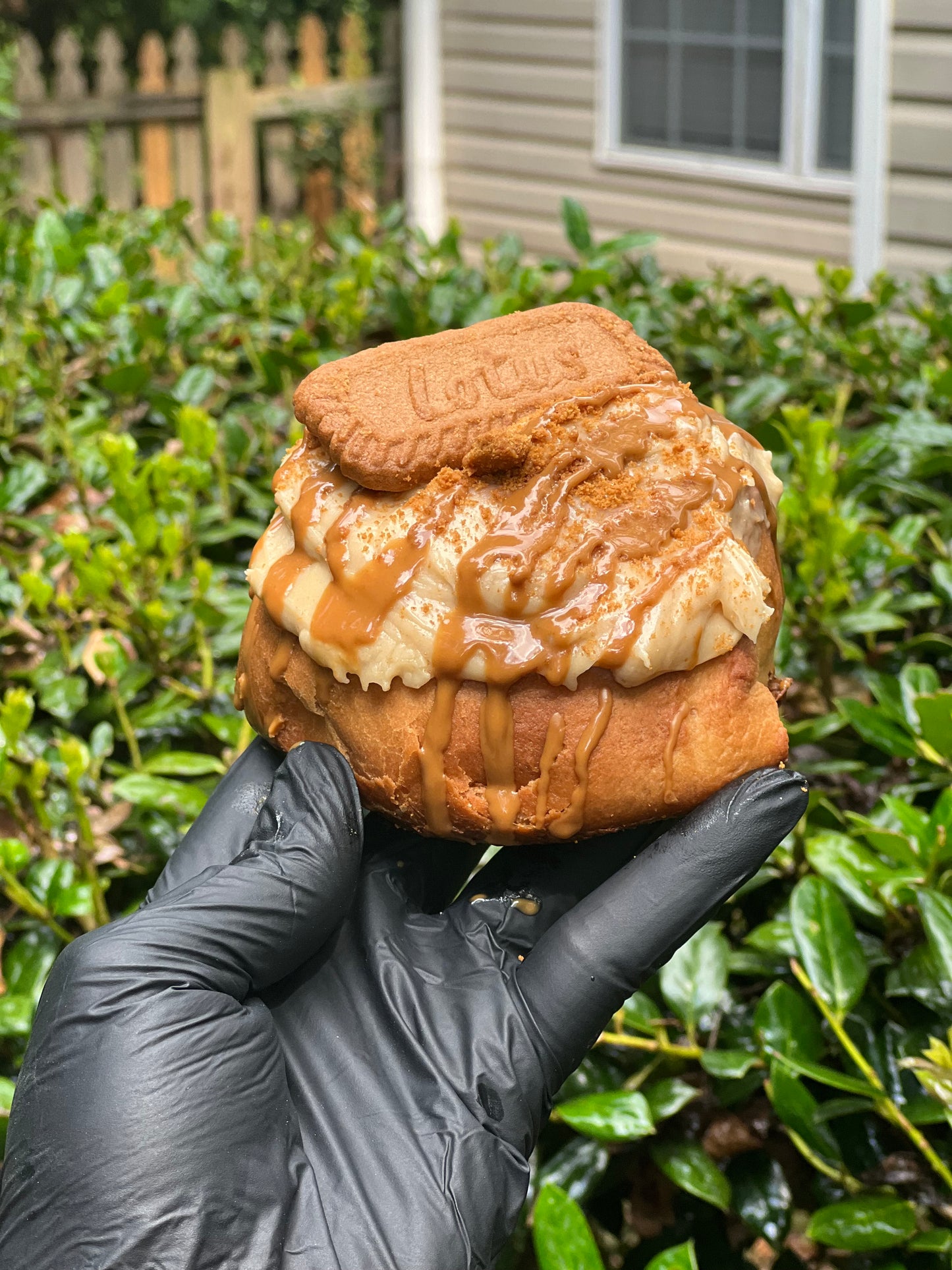 Biscoff Cinnamon Rolls