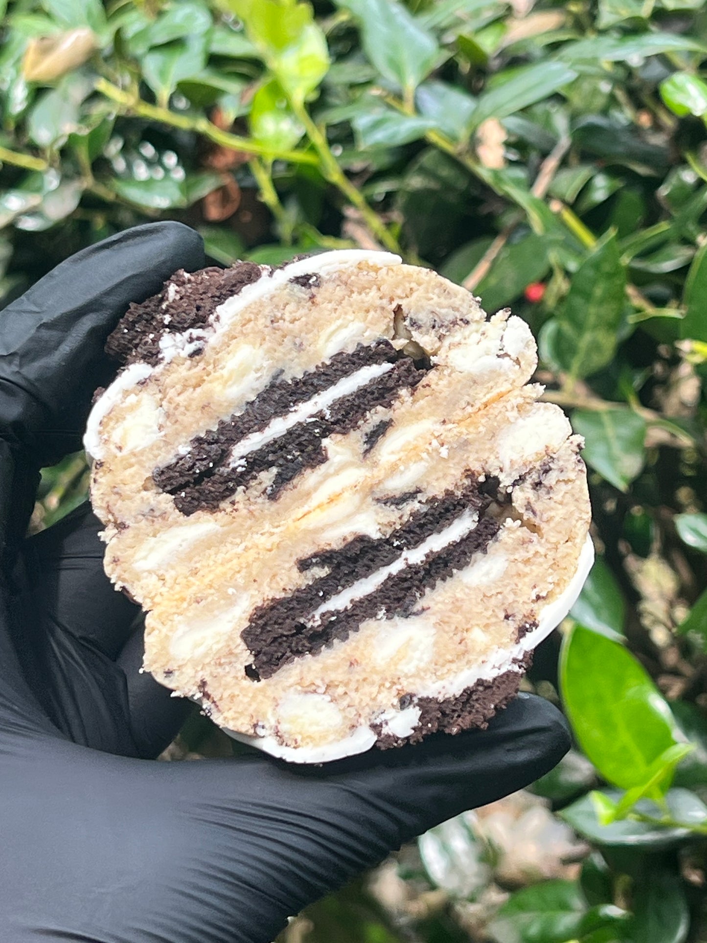 Gormet Style Stuffed Cookies